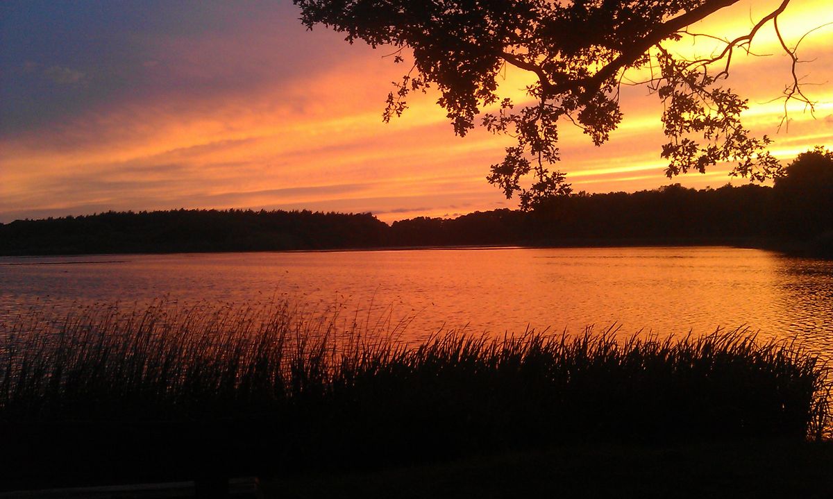 Lausiger Teiche – Reservierungsanfrage